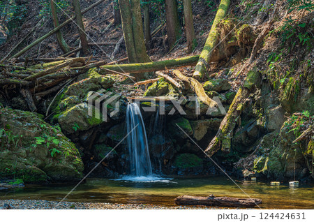 宇治の渓流もみじ谷　京都府宇治市 124424631