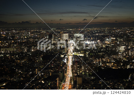 六本木ヒルズ森タワーから見る都心の夜景 124424810