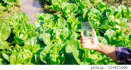 Female hands in green vegetable farm and working on virtual screen. Touch Screen of hi-tech. Scientist with smartphone of future in hands. Smart farming agriculture concept. 124425006