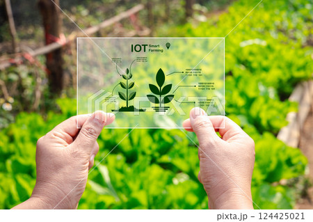 Female hands in green vegetable farm and working on virtual screen. Touch Screen of hi-tech. Scientist with smartphone of future in hands. Smart farming agriculture concept. Female hands in green vegetable farm and working on virtual screen. Touch Screen of hi-tech. Scientist with smartphone of future in hands. Smart farming agriculture concept. 124425021