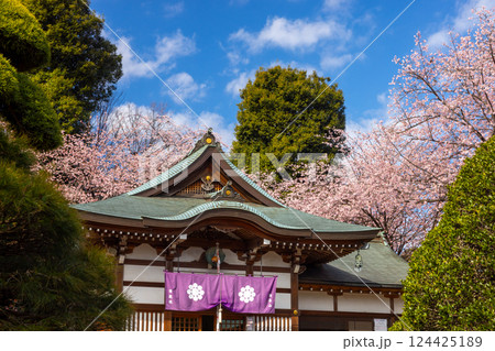埼玉県川口市安行原 海寿山満福寺密蔵院 安行桜と不動堂 埼玉県川口市安行原 海寿山満福寺密蔵院 安行桜と不動堂 124425189