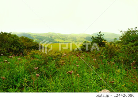 八島湿原の風景 長野県 1 八島湿原の風景 長野県 1 124426086