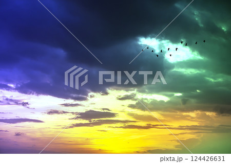 Dramatic Sky with Colorful Clouds and Birds at Sunset or Sunrise 124426631