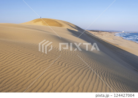 風紋(鳥取砂丘) 風紋(鳥取砂丘) 124427004