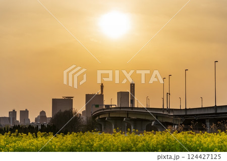 「埼玉県」さいたま新都心と夕日の風景　さいたま市 124427125