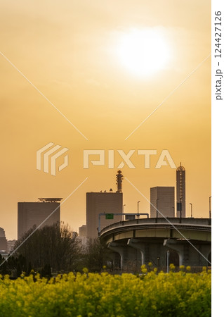 「埼玉県」さいたま新都心と夕日の風景　さいたま市 124427126
