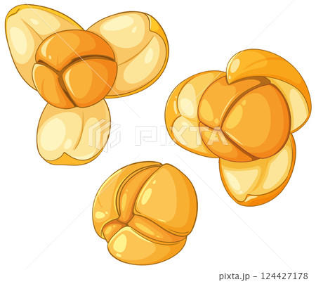 Realistic Jackfruit Seed Vector Illustration Realistic Jackfruit Seed Vector Illustration 124427178