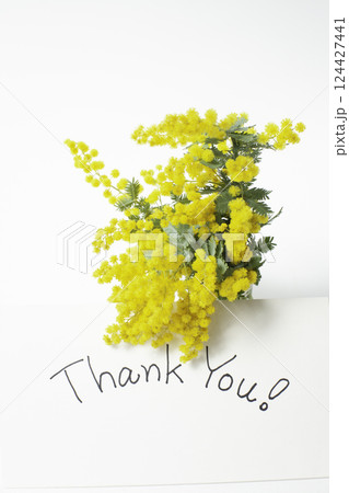 ミモザの花とメッセージカード 124427441