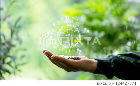 Concept of nurturing financial growth planting tree. Depositing money into green bank account supports eco-friendly initiatives, benefiting environment. money, deposit, green, tree, coin, growth. Concept of nurturing financial growth planting tree. Depositing money into green bank account supports eco-friendly initiatives, benefiting environment. money, deposit, green, tree, coin, growth. 124427571