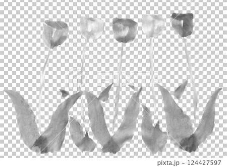 鬱金香田的單色插圖 鬱金香田的單色插圖 124427597