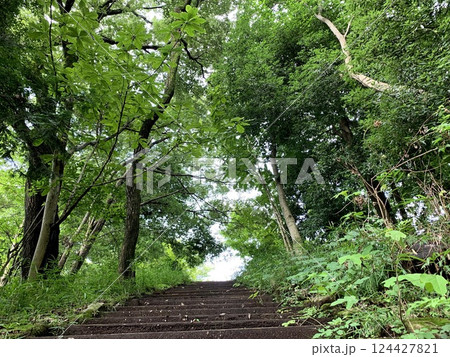 緑の階段 124427821