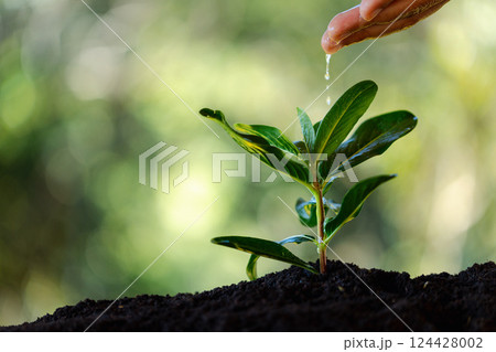 Caring hand, protect environment by growing green trees, nurturing nature and practicing sustainable gardening for health of earth. growing, tree, earth, green, gardening, protect, care. 124428002