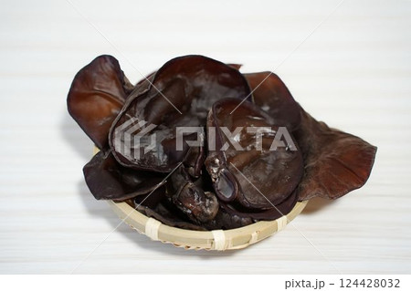 採れたてのキクラゲ	 124428032