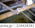 神社の手水舍 124428381