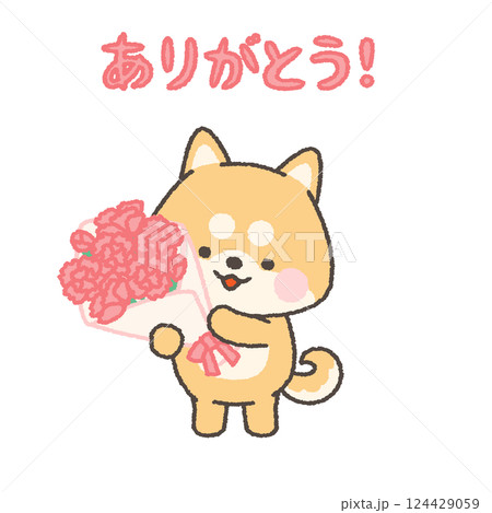 カーネーションの花束を持つ柴犬 カーネーションの花束を持つ柴犬 124429059