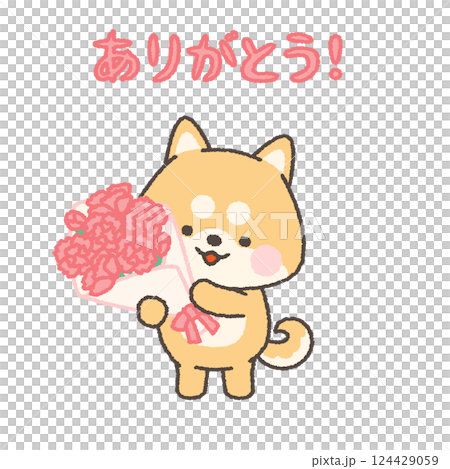カーネーションの花束を持つ柴犬 カーネーションの花束を持つ柴犬 124429059