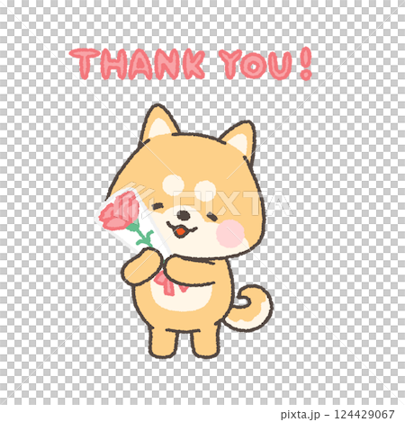 Smiling Shiba Inu holding a carnation Smiling Shiba Inu holding a carnation 124429067