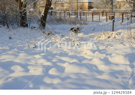 A picturesque snowy winter landscape featuring beautiful shadows cast by trees all around A picturesque snowy winter landscape featuring beautiful shadows cast by trees all around 124429384