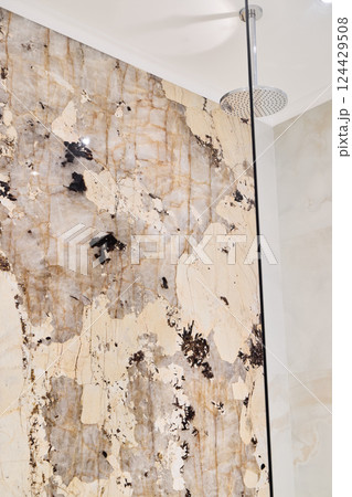 Experience the beauty of an Elegant Marble Shower Wall featuring a Modern Design aesthetic 124429508