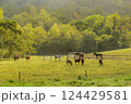 草原にたたずむ馬たち 124429581