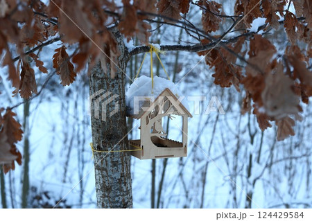 A Charming Wooden Birdhouse Gracefully Hanging in a Snowy, Picturesque Landscape A Charming Wooden Birdhouse Gracefully Hanging in a Snowy, Picturesque Landscape 124429584