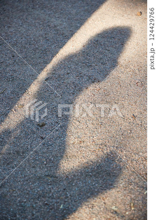 Shadow Play on a Gravel Pathway with Beautiful Colors and Breathtaking Composition 124429766
