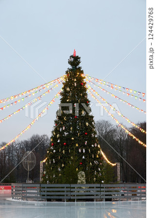 A beautifully decorated Christmas Tree with colorful lights and charming ornaments A beautifully decorated Christmas Tree with colorful lights and charming ornaments 124429768