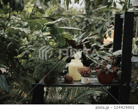 A beautiful display of lush greenery featuring various potted plants in a serene environment A beautiful display of lush greenery featuring various potted plants in a serene environment 124429802