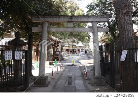 荻窪白山神社 124429859