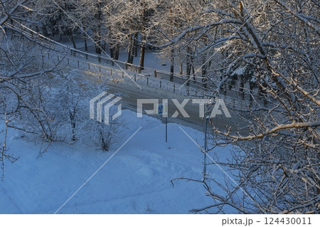 Winter Wonderland A Scene of SnowCovered Trees Lining a Quiet, Snowy Road Ahead 124430011