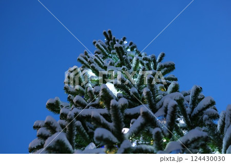 A Majestic SnowCovered Evergreen Tree Standing Tall Against a Clear Blue Sky Above 124430030