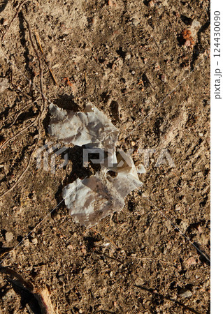 Delicate Fragments on Earth Natures Intriguing and Beautiful Patterns Revealed in Detail Delicate Fragments on Earth Natures Intriguing and Beautiful Patterns Revealed in Detail 124430090