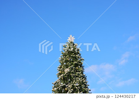 A Beautifully SnowCapped Christmas Tree Standing Majestically Against a Clear Blue Winter Sky 124430217