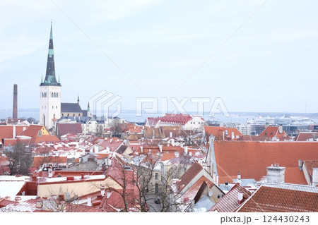 タリン旧市街 124430243