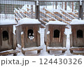 ハスキー犬 124430326