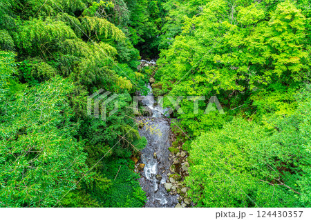 【神奈川県】生い茂る緑に囲まれた箱根の宮ノ下にある渓谷 124430357