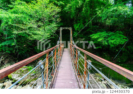 【神奈川県】箱根の宮ノ下にある桜橋 124430370