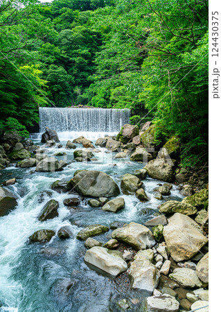 【神奈川県】生い茂る緑に囲まれた箱根の宮ノ下にある堰堤の滝 124430375