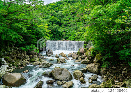 【神奈川県】生い茂る緑に囲まれた箱根の宮ノ下にある堰堤の滝 124430402