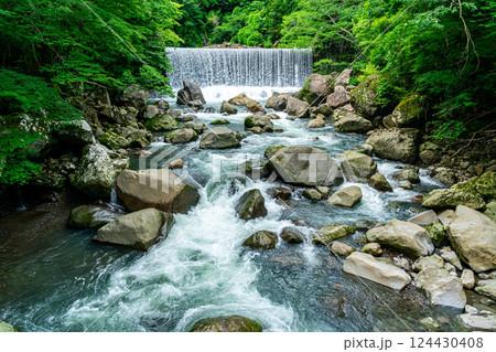 【神奈川県】生い茂る緑に囲まれた箱根の宮ノ下にある堰堤の滝 124430408