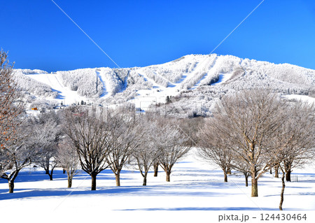 菅平高原/パインビークオオマツゲレンデ方面を望む (長野県上田市) 【2025.3】 菅平高原/パインビークオオマツゲレンデ方面を望む (長野県上田市) 【2025.3】 124430464