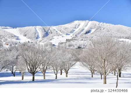 菅平高原/パインビークオオマツゲレンデ方面を望む (長野県上田市) 【2025.3】 菅平高原/パインビークオオマツゲレンデ方面を望む (長野県上田市) 【2025.3】 124430466
