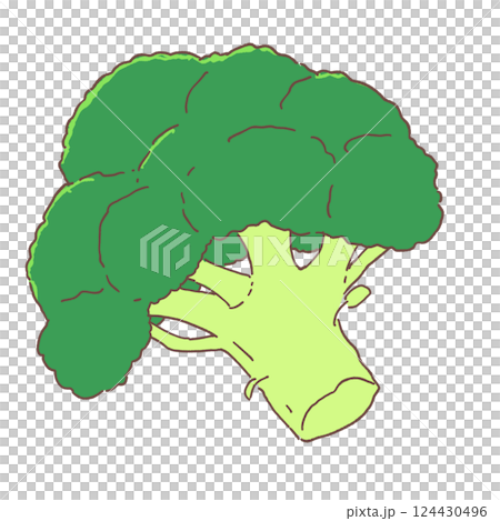 西蘭花的插圖 124430496