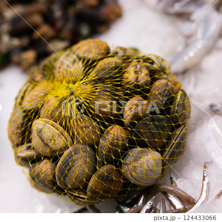 Raw shellfish in a net at fish market - freshly caught shellfish Raw shellfish in a net at fish market - freshly caught shellfish 124433066