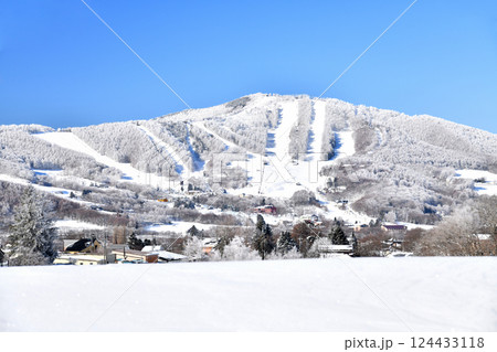 菅平高原／パインビークオオマツゲレンデ方面を望む (長野県上田市) 【2025.3】 124433118