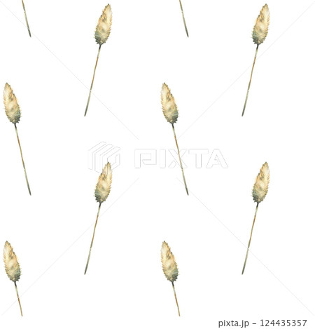 Pampas grass. Dry blade of grass. Boho floral cream coloured seamless pattern. Watercolor hand painted illustration. Botanical herbal fabric, wallpaper, wrapping paper on isolated white background Pampas grass. Dry blade of grass. Boho floral cream coloured seamless pattern. Watercolor hand painted illustration. Botanical herbal fabric, wallpaper, wrapping paper on isolated white background 124435357