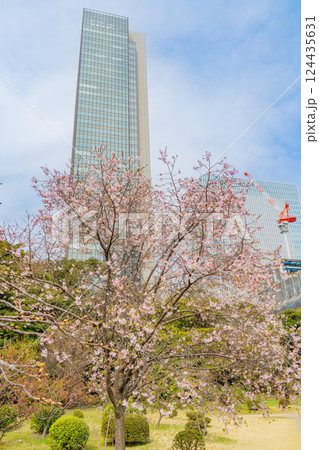 【東京都】桜が咲き始めた、旧芝離宮恩賜庭園 【東京都】桜が咲き始めた、旧芝離宮恩賜庭園 124435631