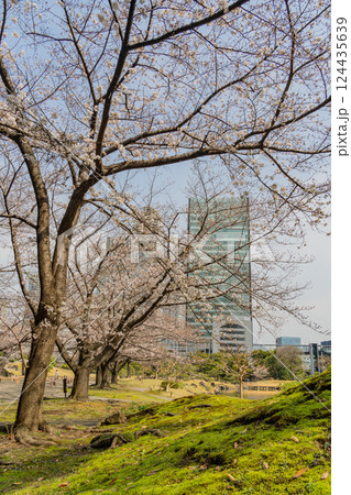 【東京都】桜が咲き始めた、旧芝離宮恩賜庭園 【東京都】桜が咲き始めた、旧芝離宮恩賜庭園 124435639