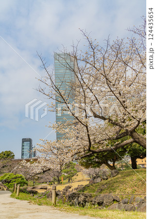 【東京都】桜が咲き始めた、旧芝離宮恩賜庭園 124435654