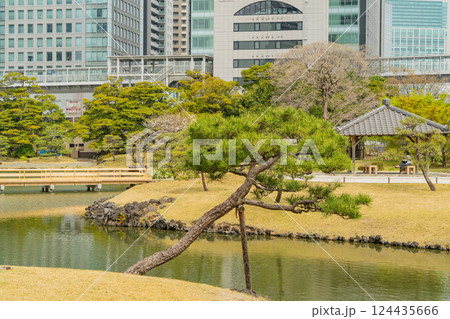 【東京都】桜が咲き始めた、旧芝離宮恩賜庭園 【東京都】桜が咲き始めた、旧芝離宮恩賜庭園 124435666